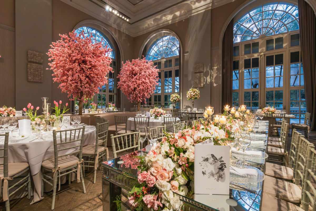 Creative Design and Décor