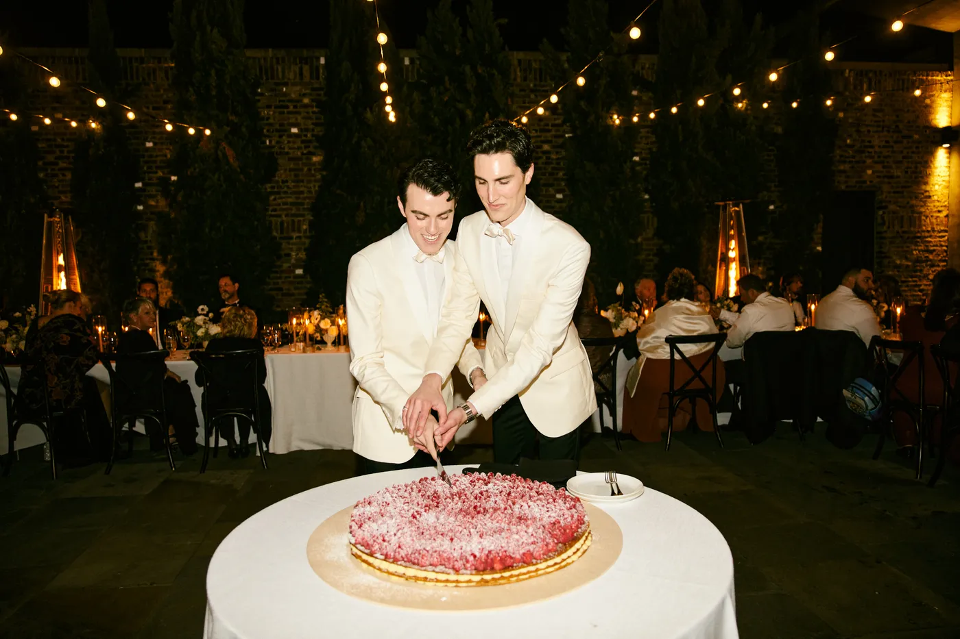 Two grooms cutting their wedding cake at an outdoor reception