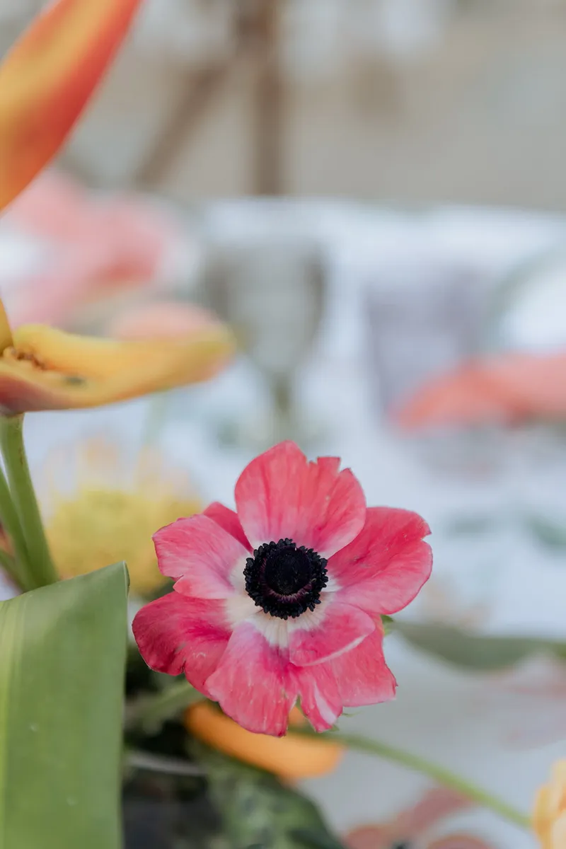 The Arcangelo Wedding at The Old Polo Estate, photo 6 of 32