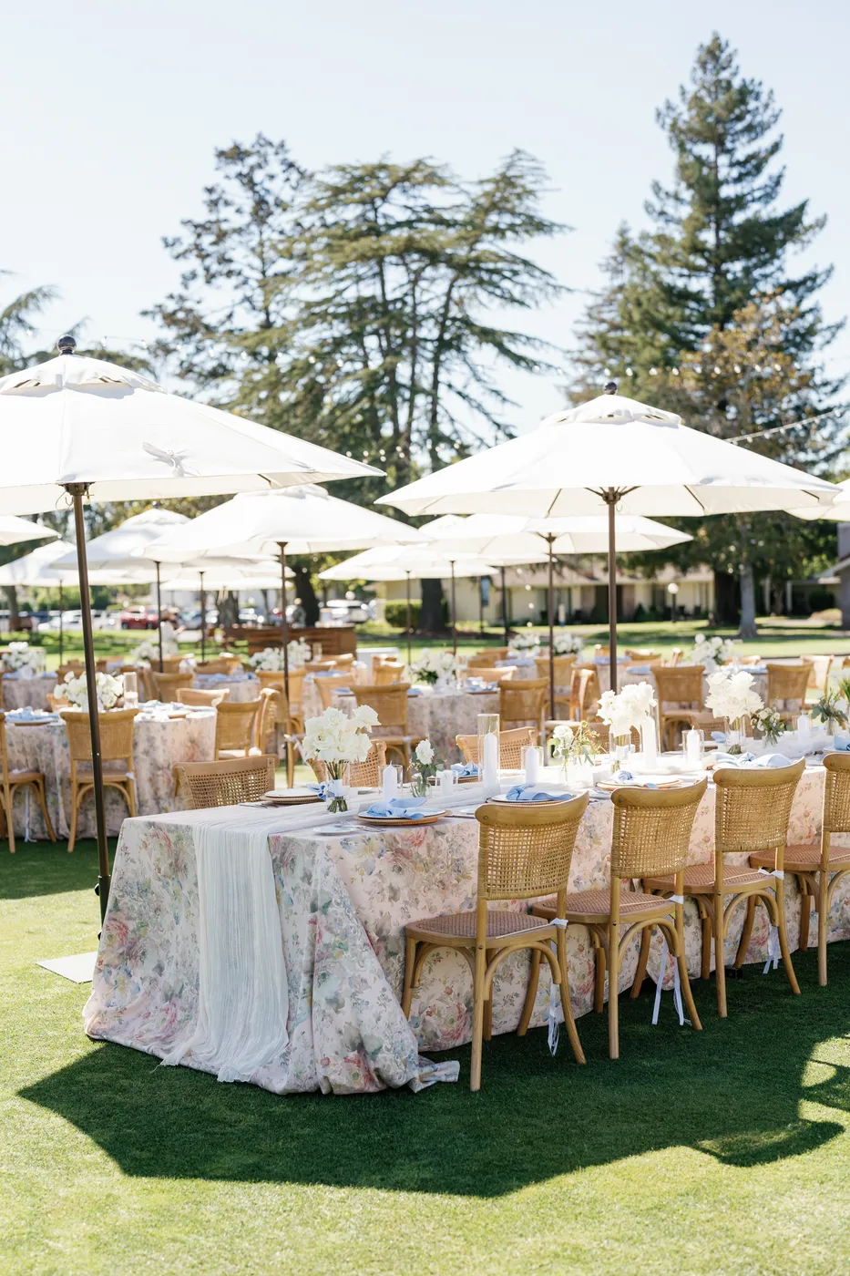 The Forlenza Wedding at Silverado Estate, photo 16 of 25